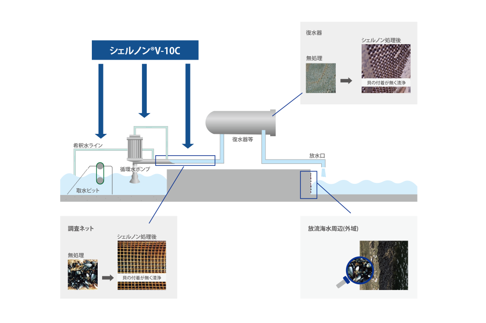 シェルノン®V-10C
